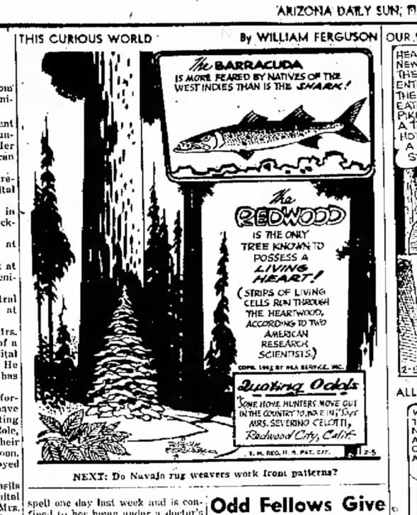 Clipping from Arizona Daily Sun